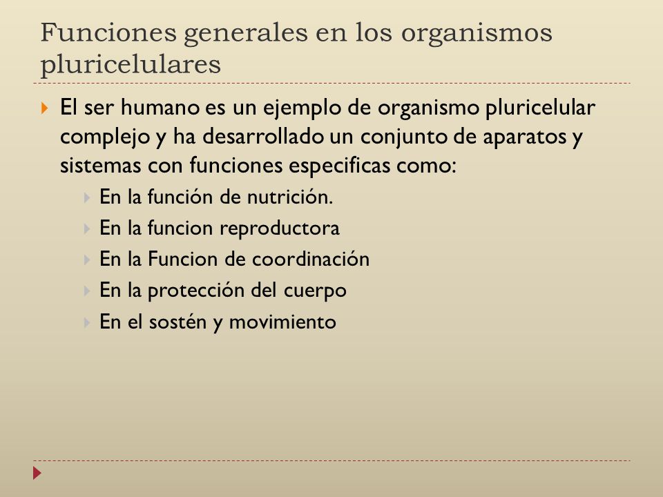 un organismo funciones